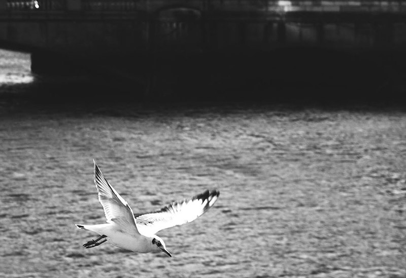 Personal Project | Travel | Dublin, IE