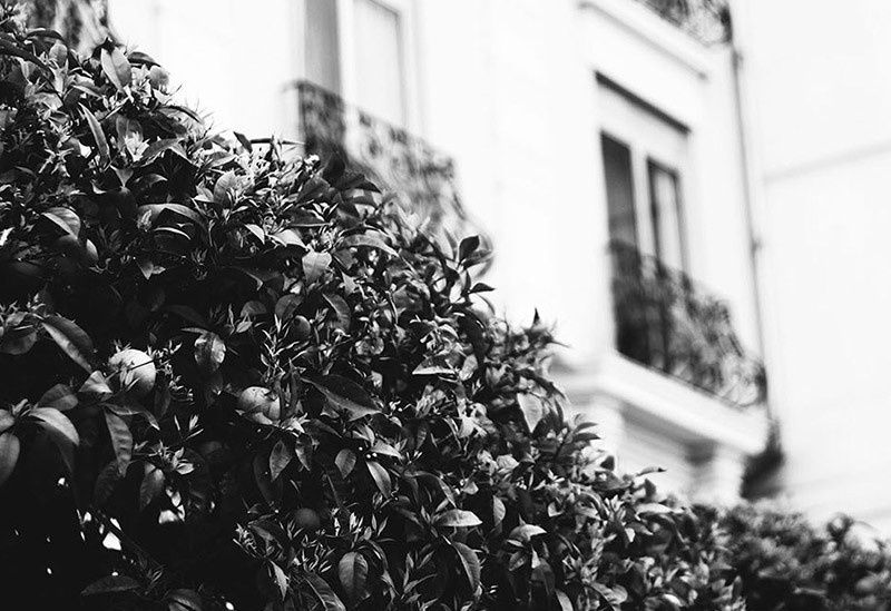 Personal Project | Travel | Nice, FR